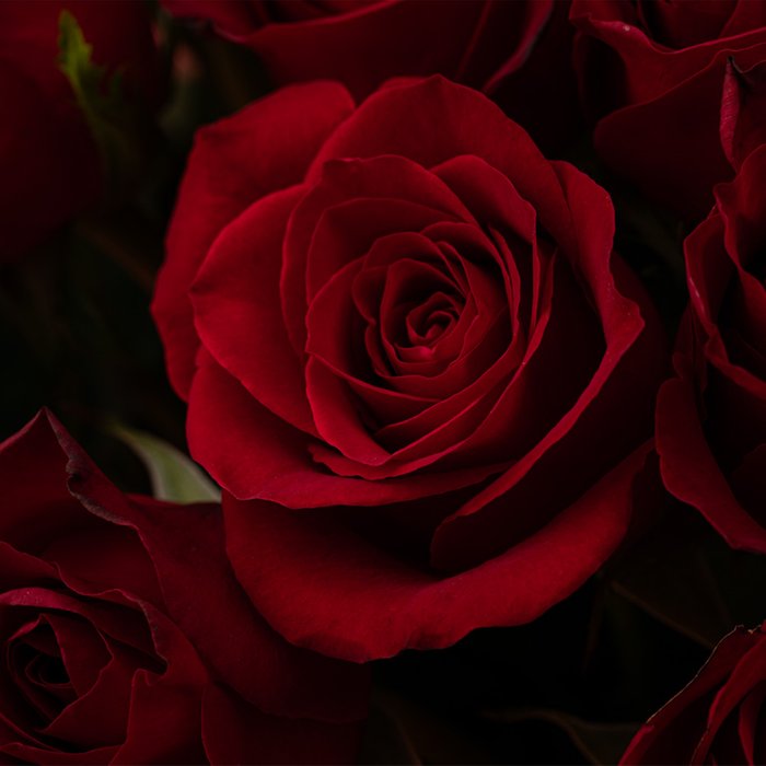 Boeket Liefdevol | 10 rozen