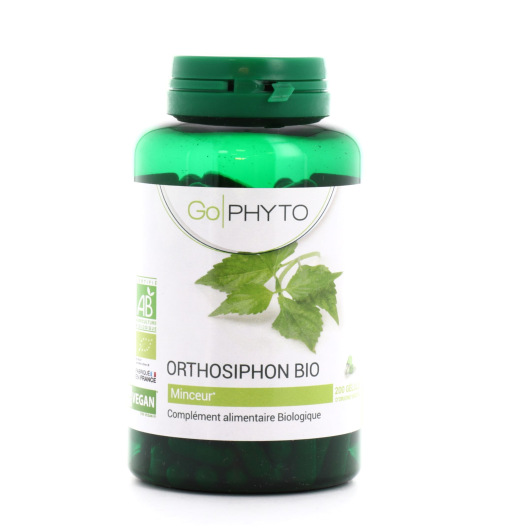 Orthosiphon Bio Go Phyto - Minceur