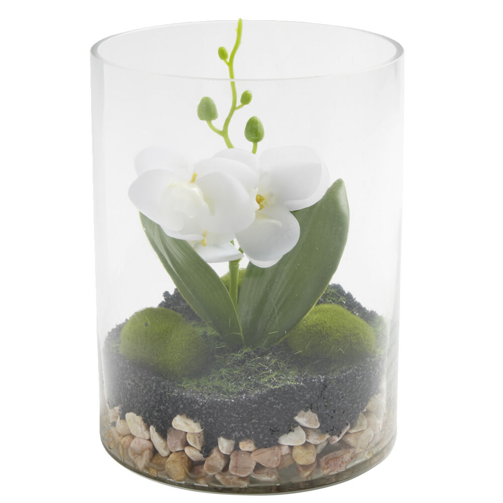 Vase en verre terrarium avec orchidée artificielle Ø15xH20cm (2 modèles)