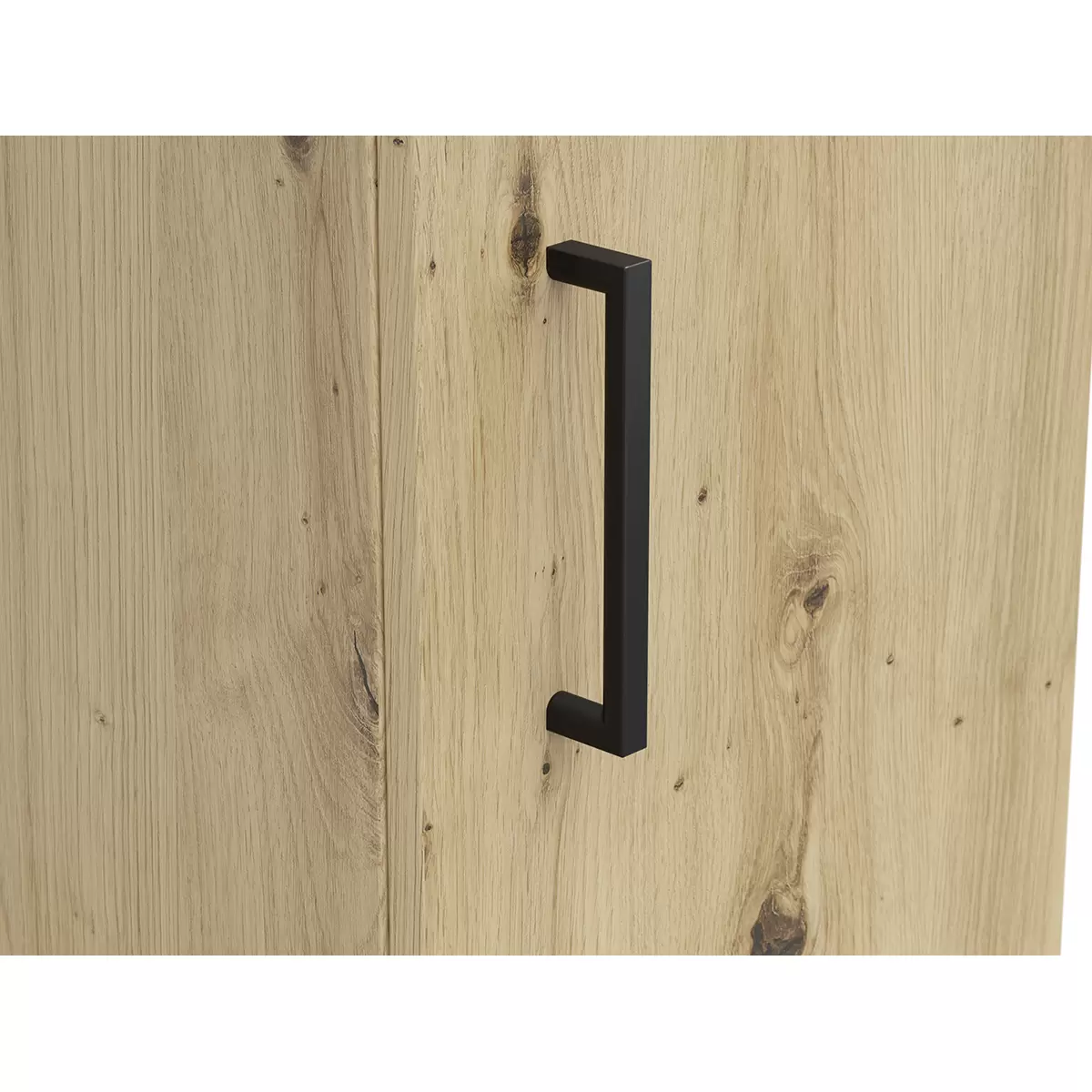 Regal 2T Cabinet Artisan Eiche