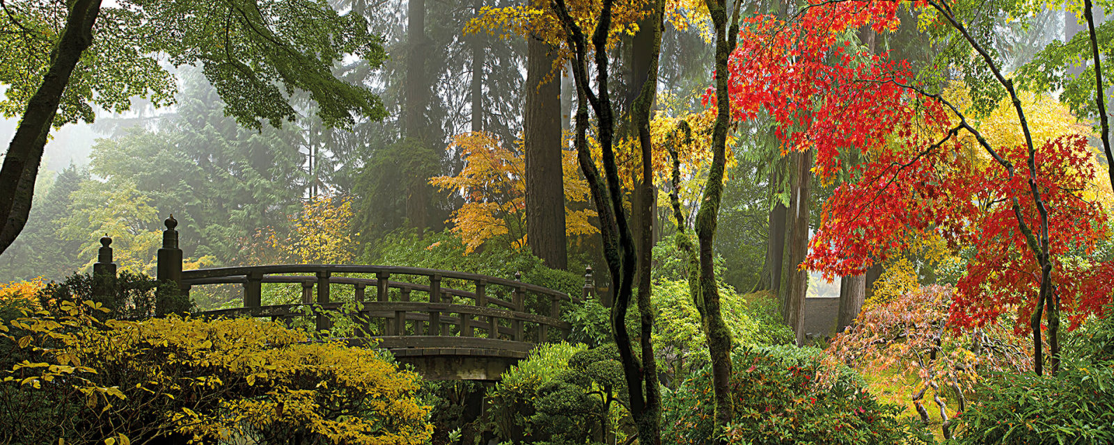 Leinwandbild JAPANISCHER GARTEN - grün - 100x40 cm