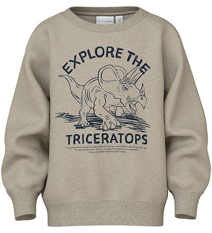 Name It Sweatshirt - NmmVion - Reines Kaschmir/Triceratops