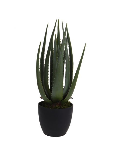 Homestyle Plant In Pot - Kunstplanten - 45 cm