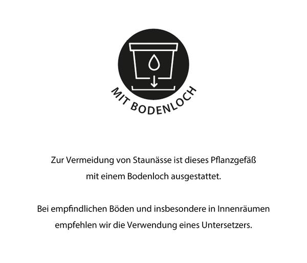 Dehner Kunststoff-Blumentopf Cylindro XXL,