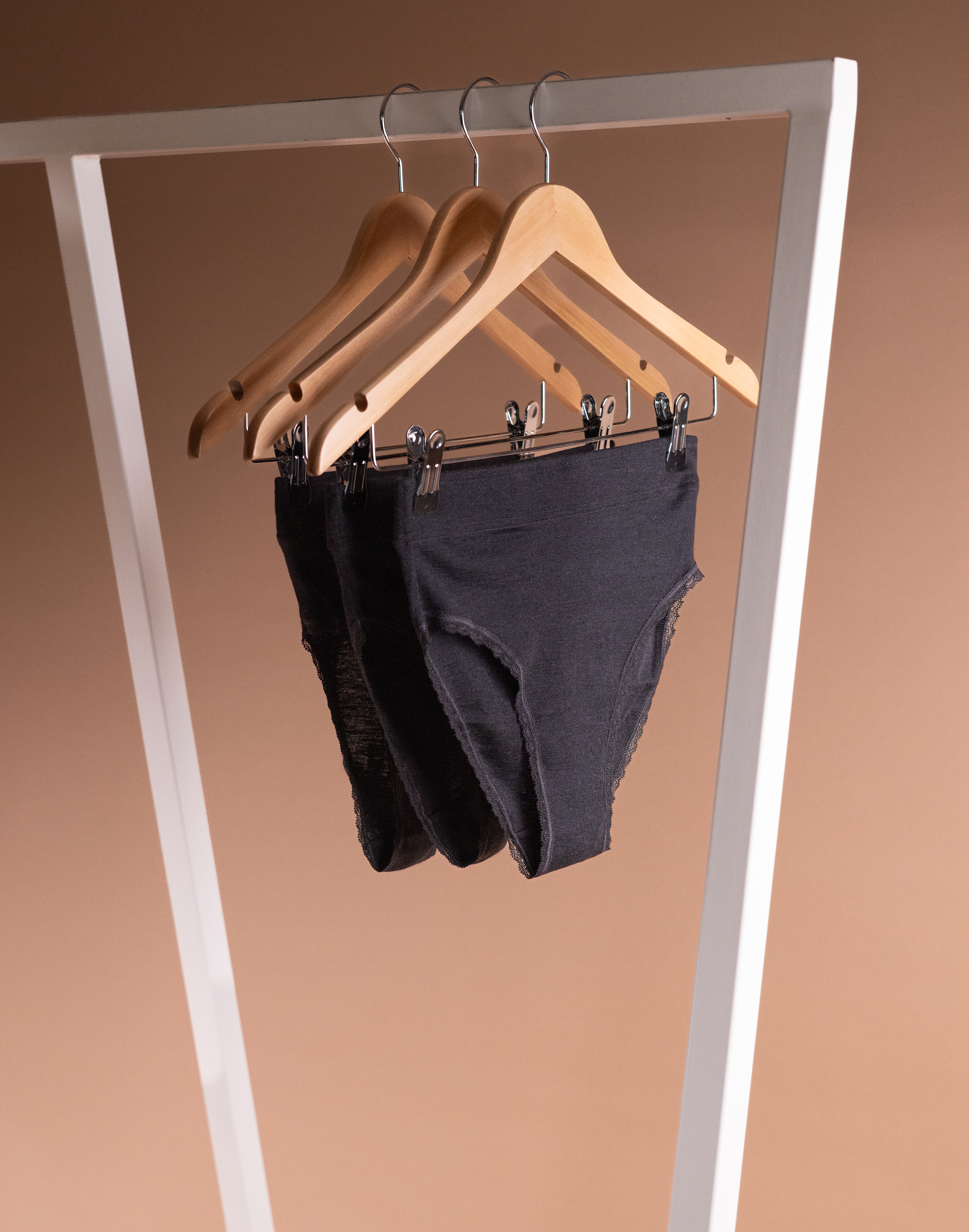 Slip met hoge taille van merinowol/zijde voor dames (3 stuks)