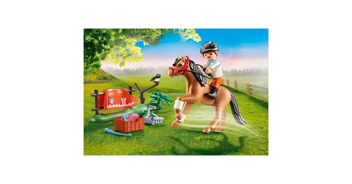 PLAYMOBILCountry - Verzamelpony Connemara Constructiespeelgoed  (70516)