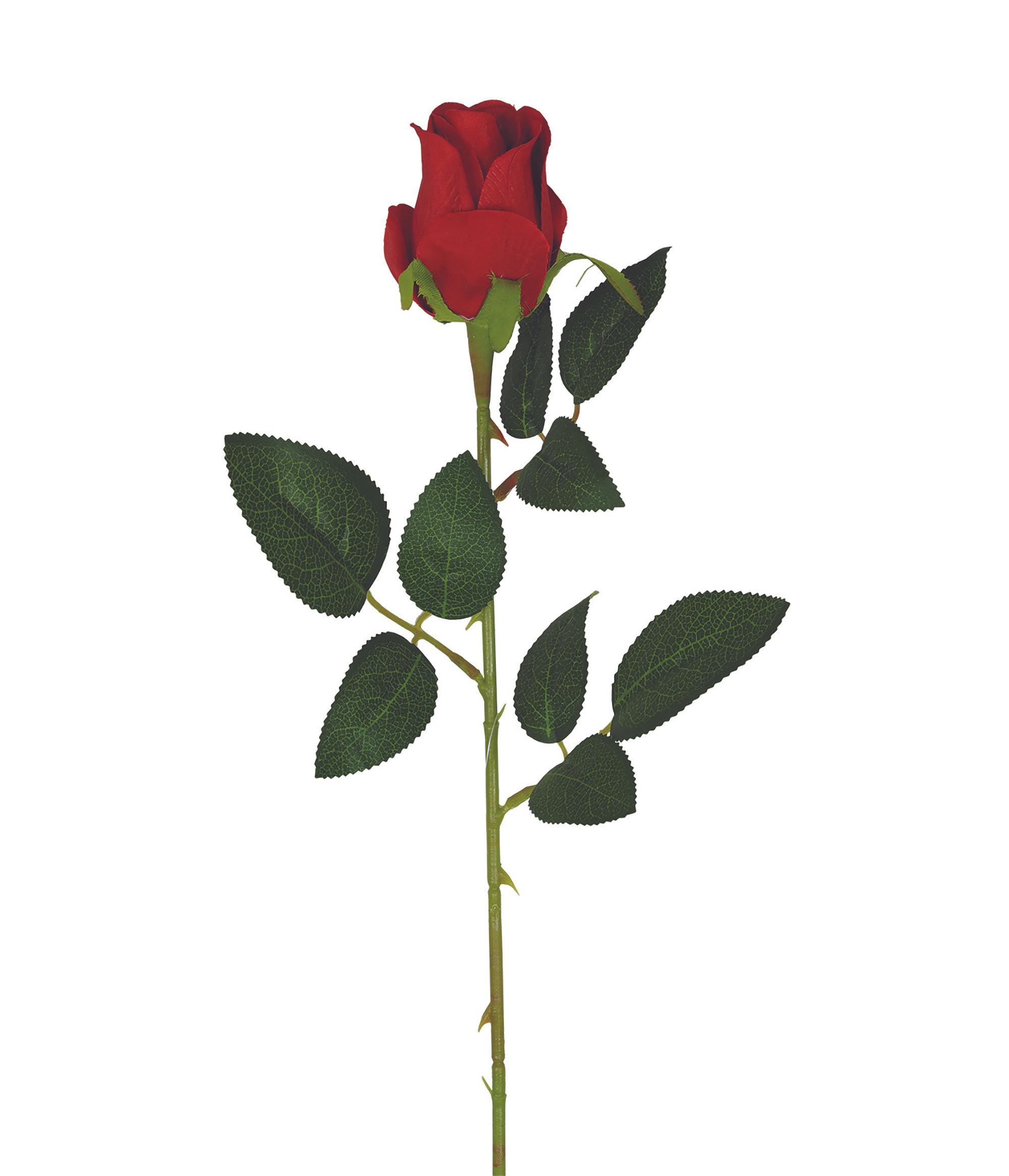 TIGE BOUTON ROSE H.63CM ROUGE