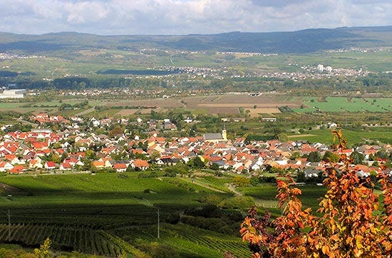 Weinverkostung Ockenheim