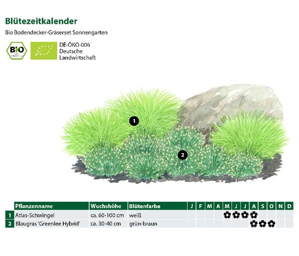 Bio Bodendecker Gräser-Set Sonnengarten,