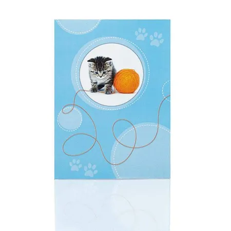 Rössler Briefpapierpack Kleiner Tiger Katze, 10 Blatt & 10 Briefumschläge