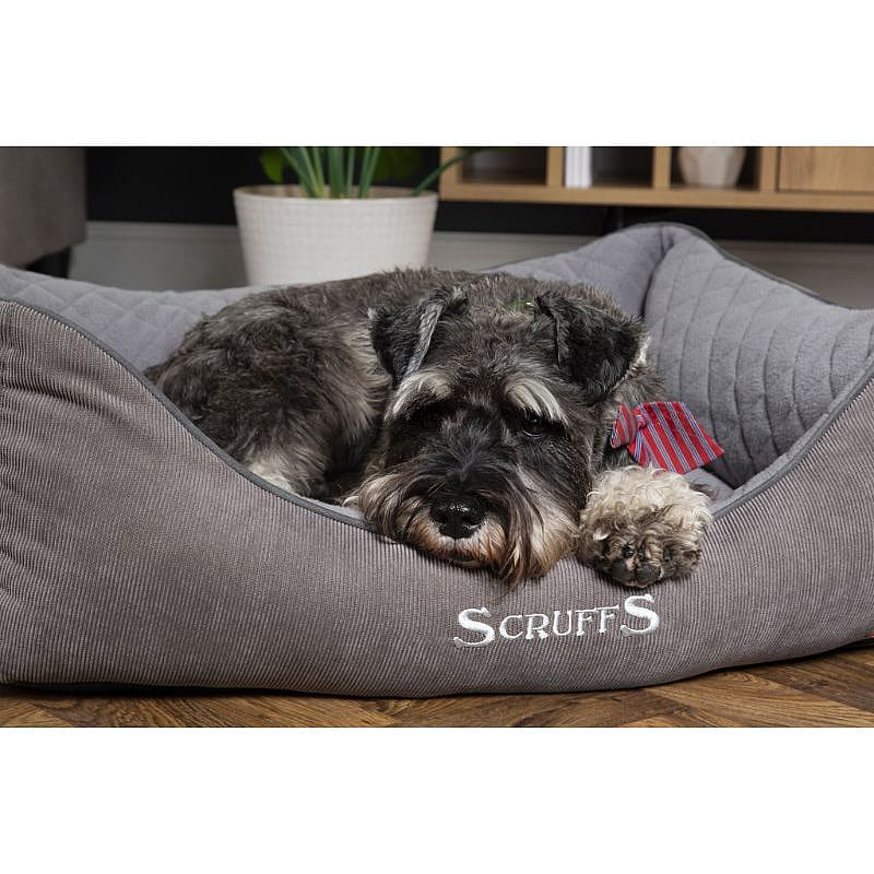 Scruffs Thermal Box Bed Hond | Small | 13437