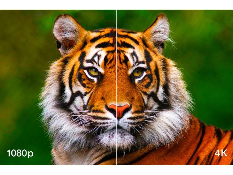 Epson Projektor EH-LS11000w 4K-Laserprojektor