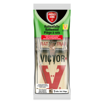 Protect Home rattenval hout