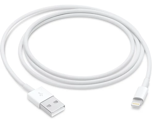 Apple Lightning to USB Cable (1m)