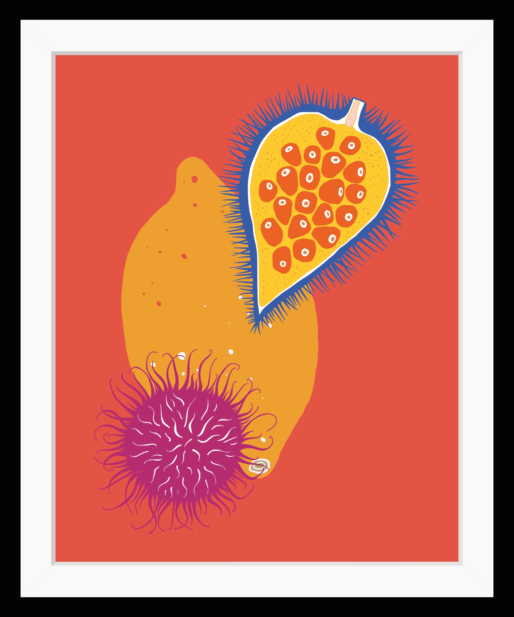 queence Bild »Daria« Kunst | Lebensmittel | Obst | Obst Bilder HD Premium Poster-Druck inkl. Holzrahmen
