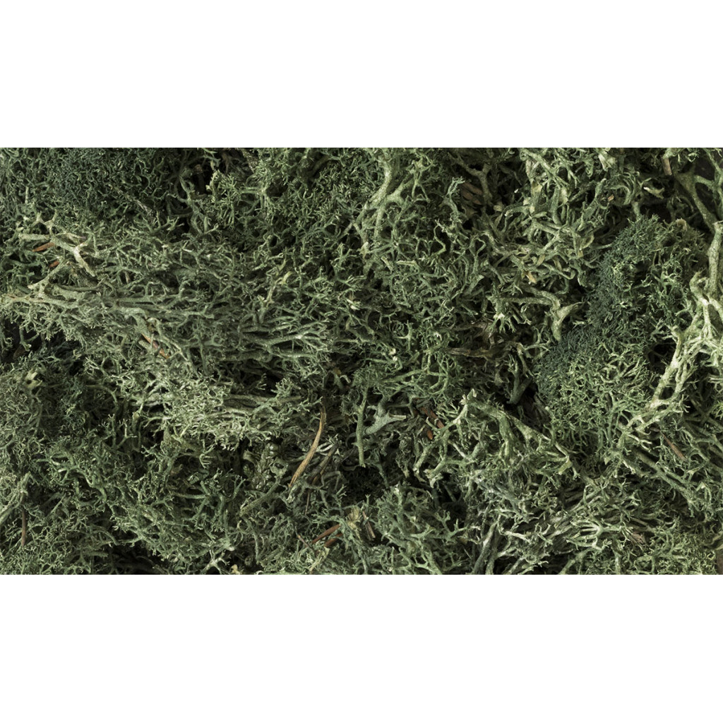 Woodland Scenics - Lichen
