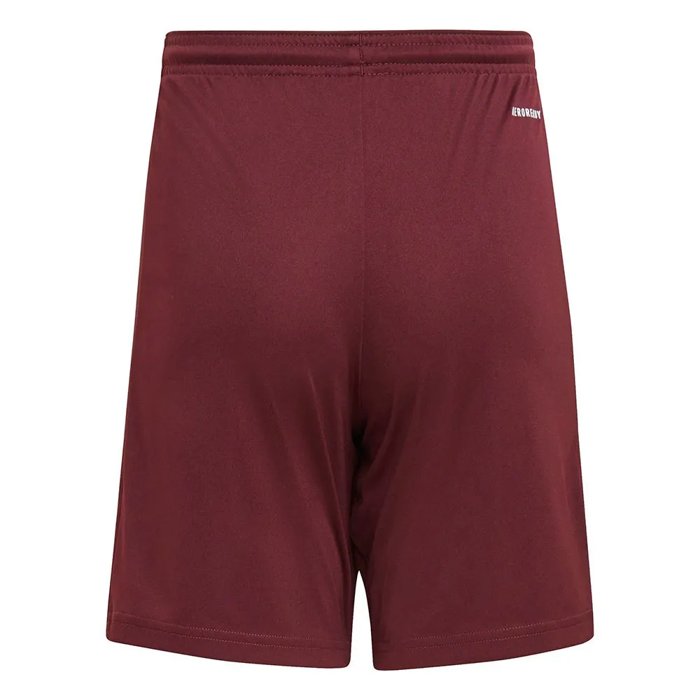calções adidas Squadra 21