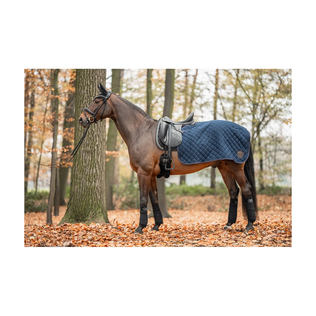Equinate Ausreitdecke Lancaster mit Teddyfell navy M