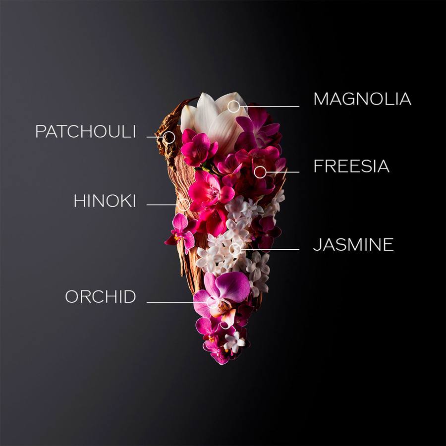 Shiseido Ginza Eau De Parfum Gift Set