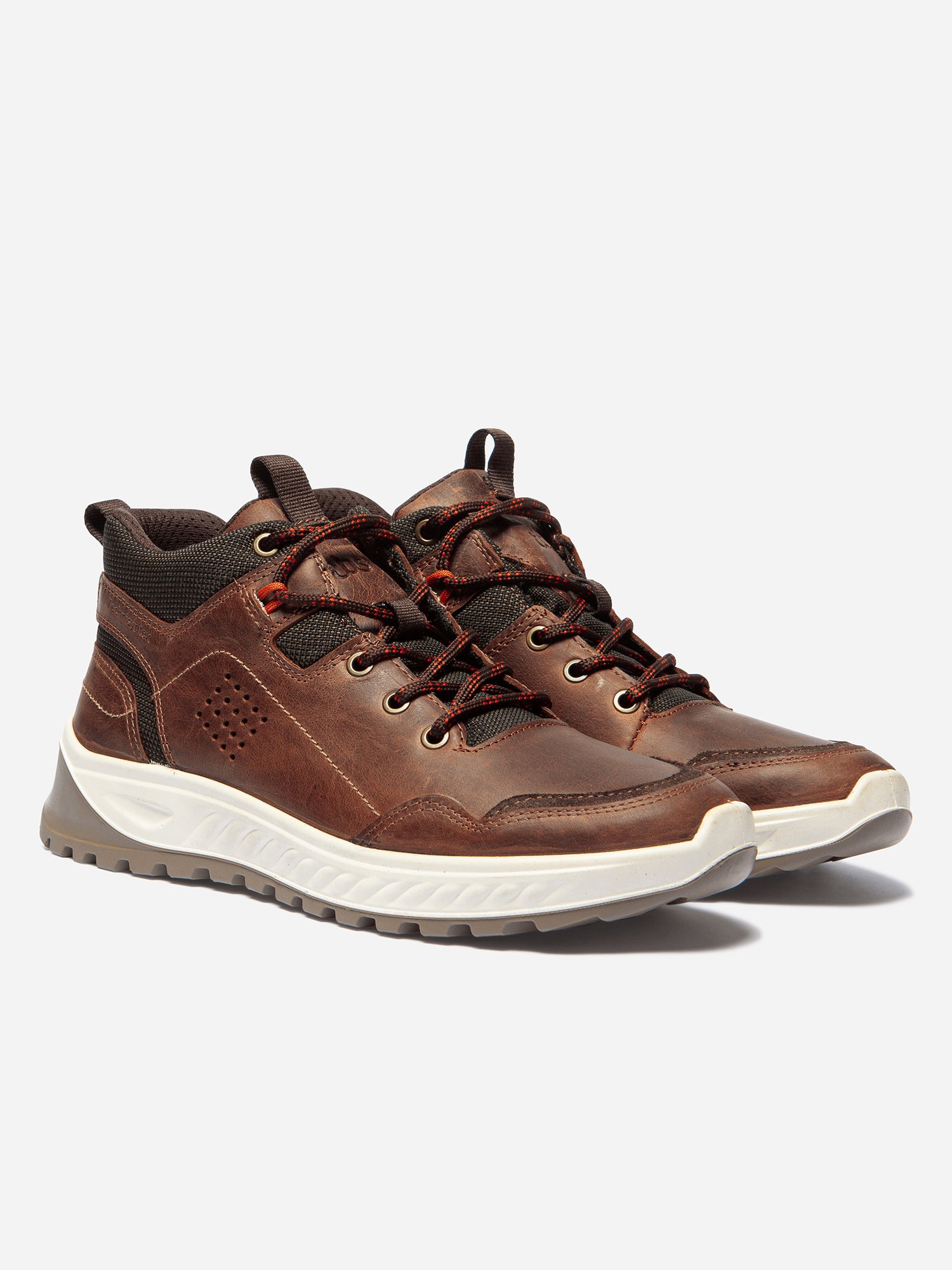 Baskets Montantes Homme Imperméable Marron