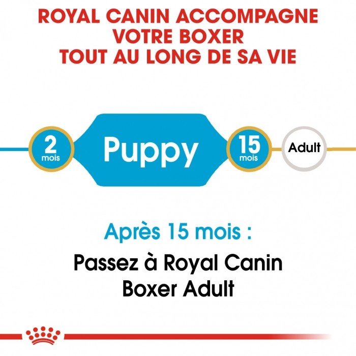 Royal Canin Boxer Puppy - Croquettes pour chiot