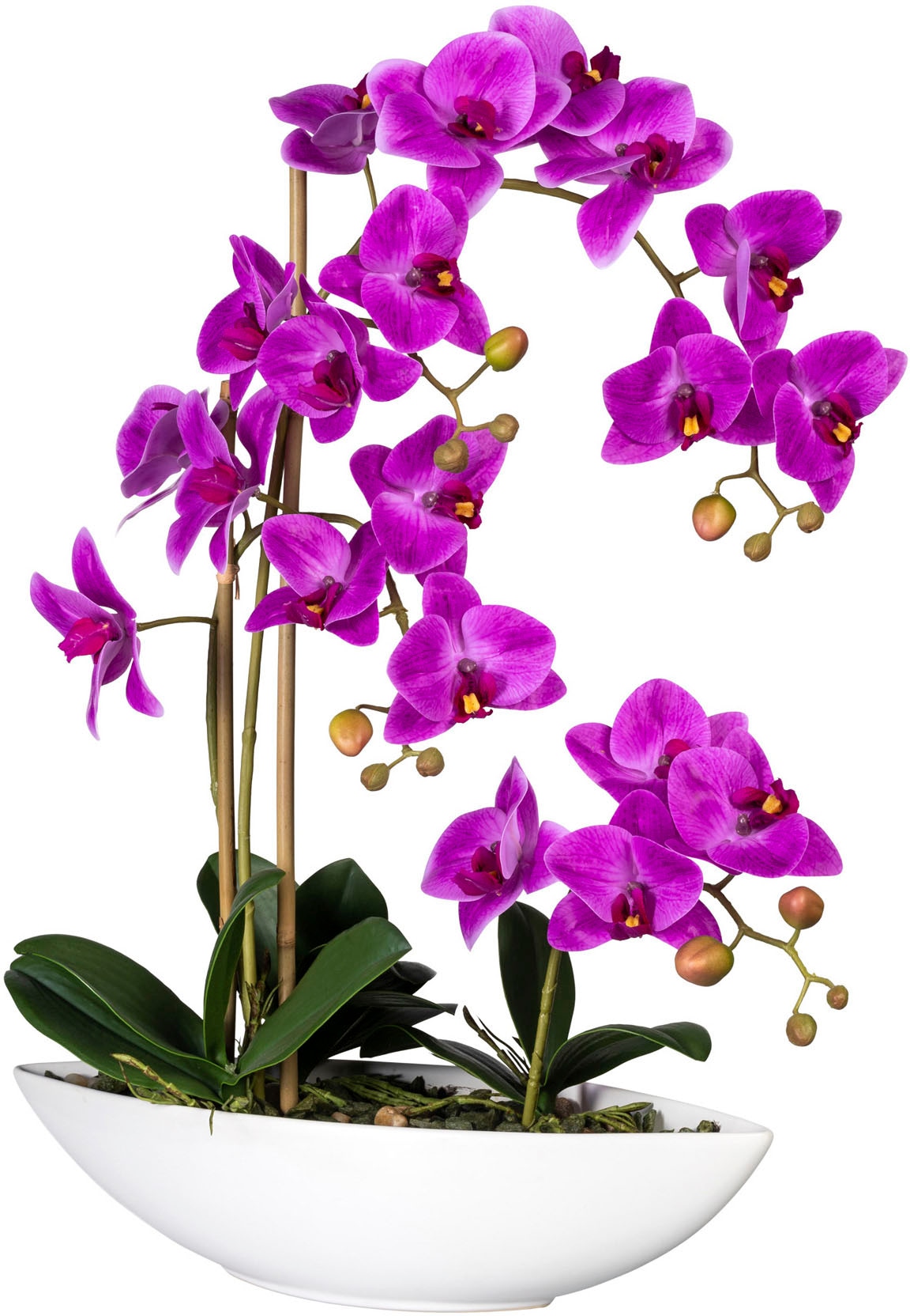 Creativ green Kunstorchidee »Phalaenopsis« im Keramikschiff