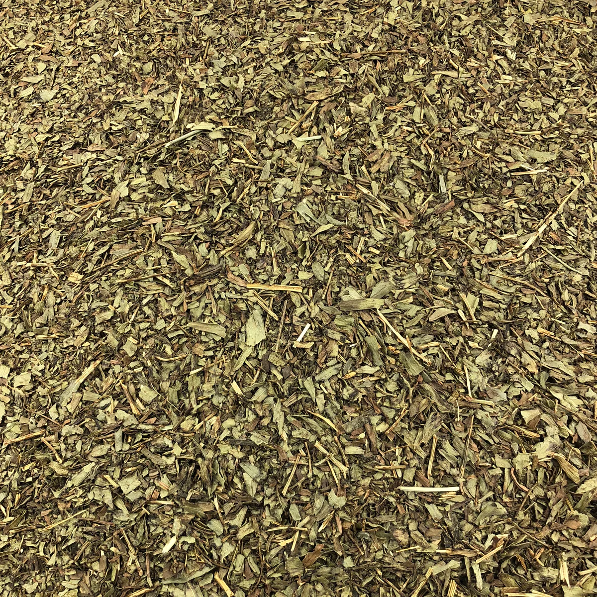 Estragon Feuilles Bio en Vrac 250g Vrac Bio