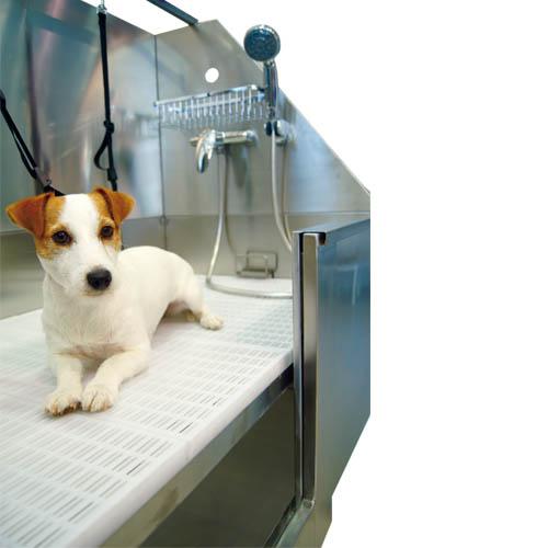 Banheira para cães Niagara em aço inoxidável com porta, ideal para salões de tosa, Ibanez