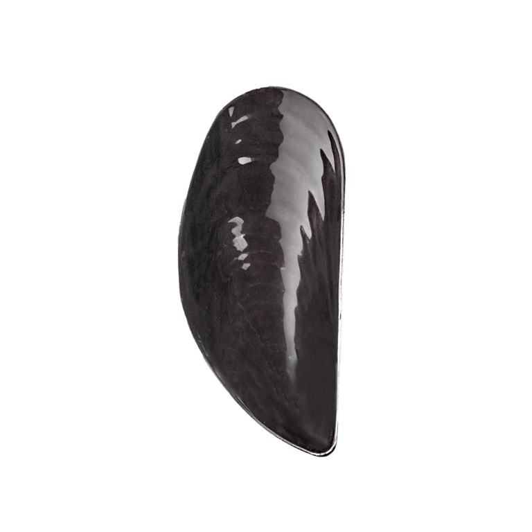 Serax Les Objets Mouleversants by Wouters & Hendrix schaal S Black