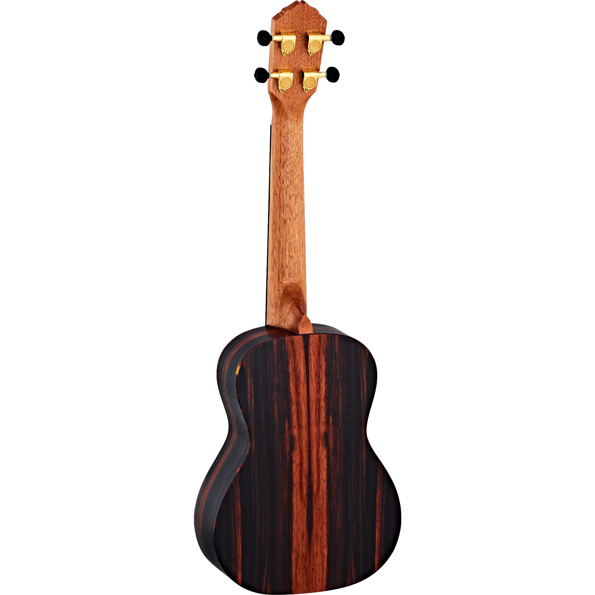 Ortega Ebony Series RUEB-CC concert ukelele met gigbag