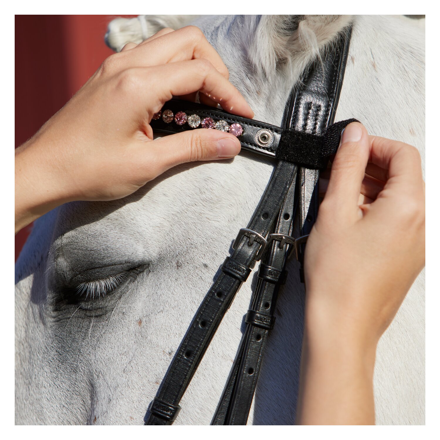 kieffer Stirnband FlexiLoop 8 mm  - rosé - Warmblut