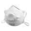 Støvfiltermasker 10-pk FFP2