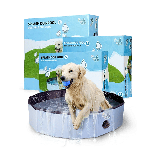 Coolpets Zwembad | Large - 120 x 30 | 12343.2