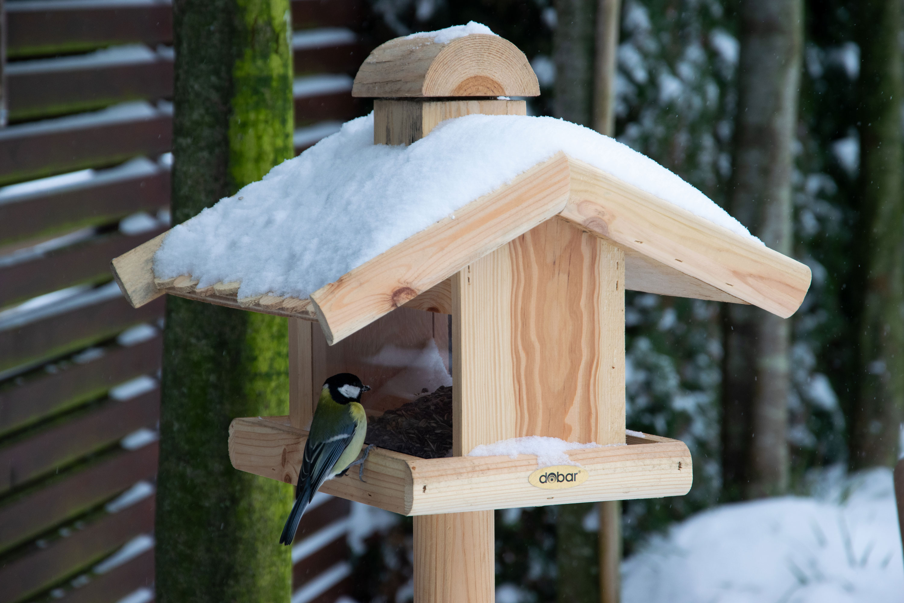 dobar Vogelhaus - versch. Ausführungen