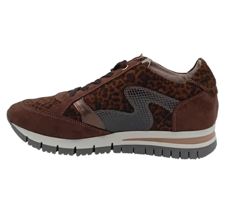 DL Sport 6726 TDM/MUTINO NUT (bruin)