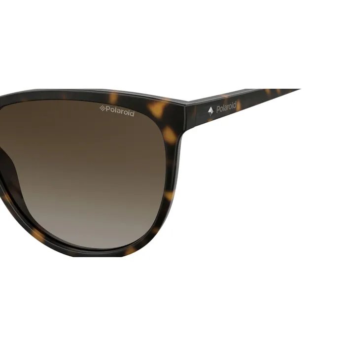 Polaroid Sunglasses PLD4066