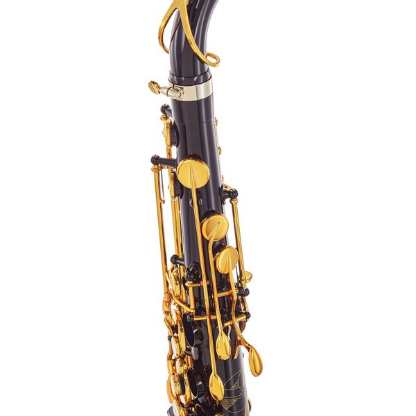 Selmer Signature Tenor Sax SE-TSIB