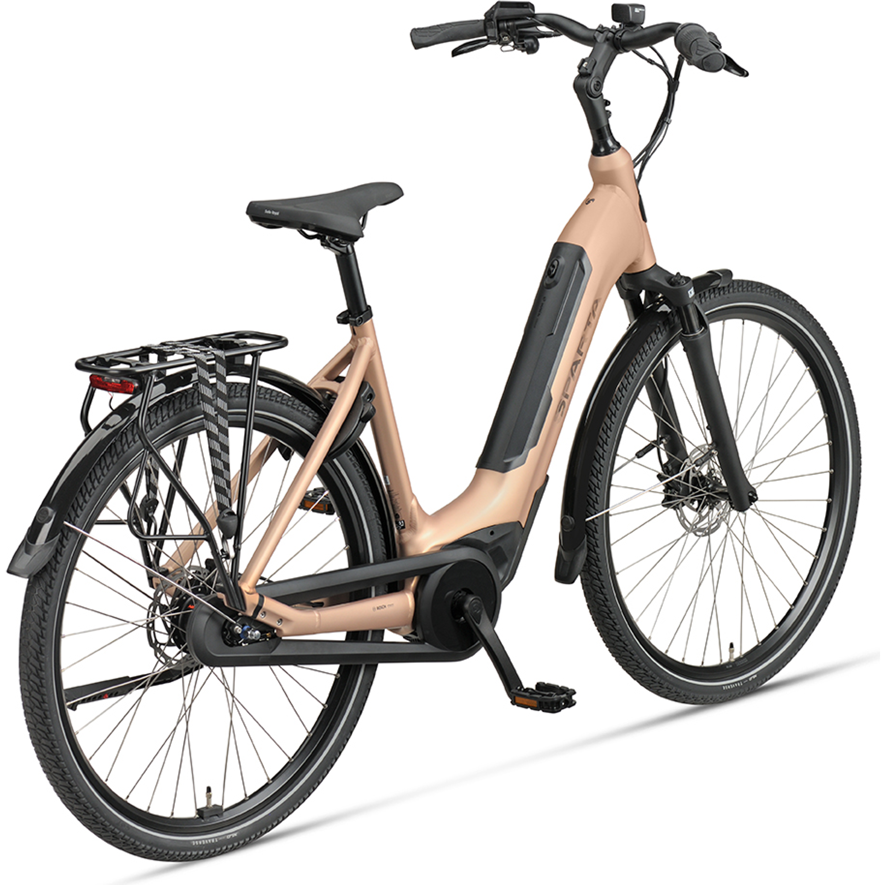 Sparta C-Grid Fit 2026