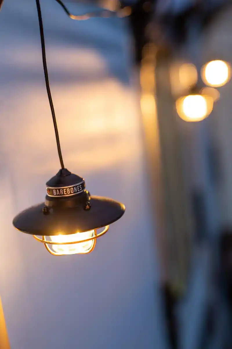 Edison String Lights