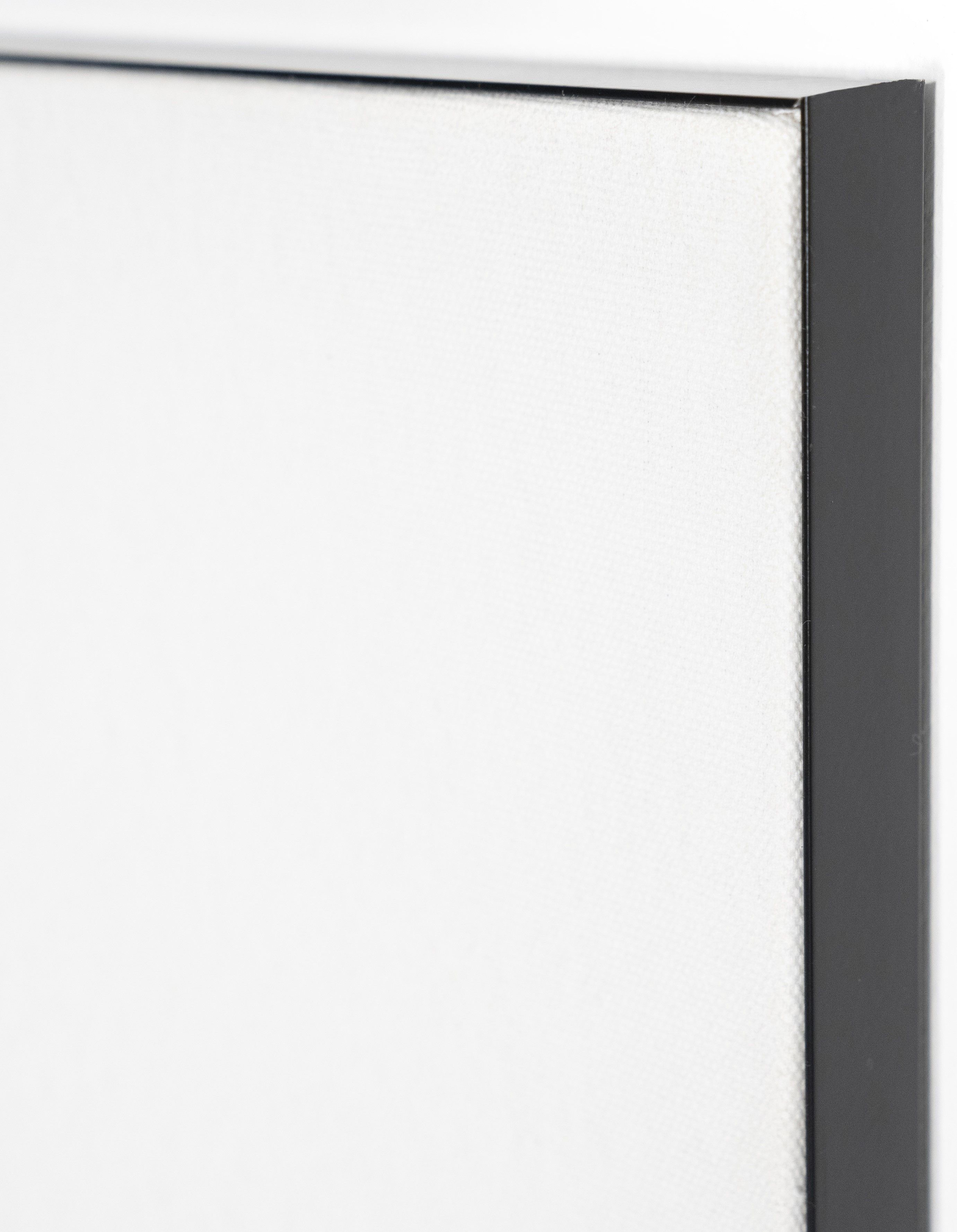 Wandkleed Eagle Ray - frame