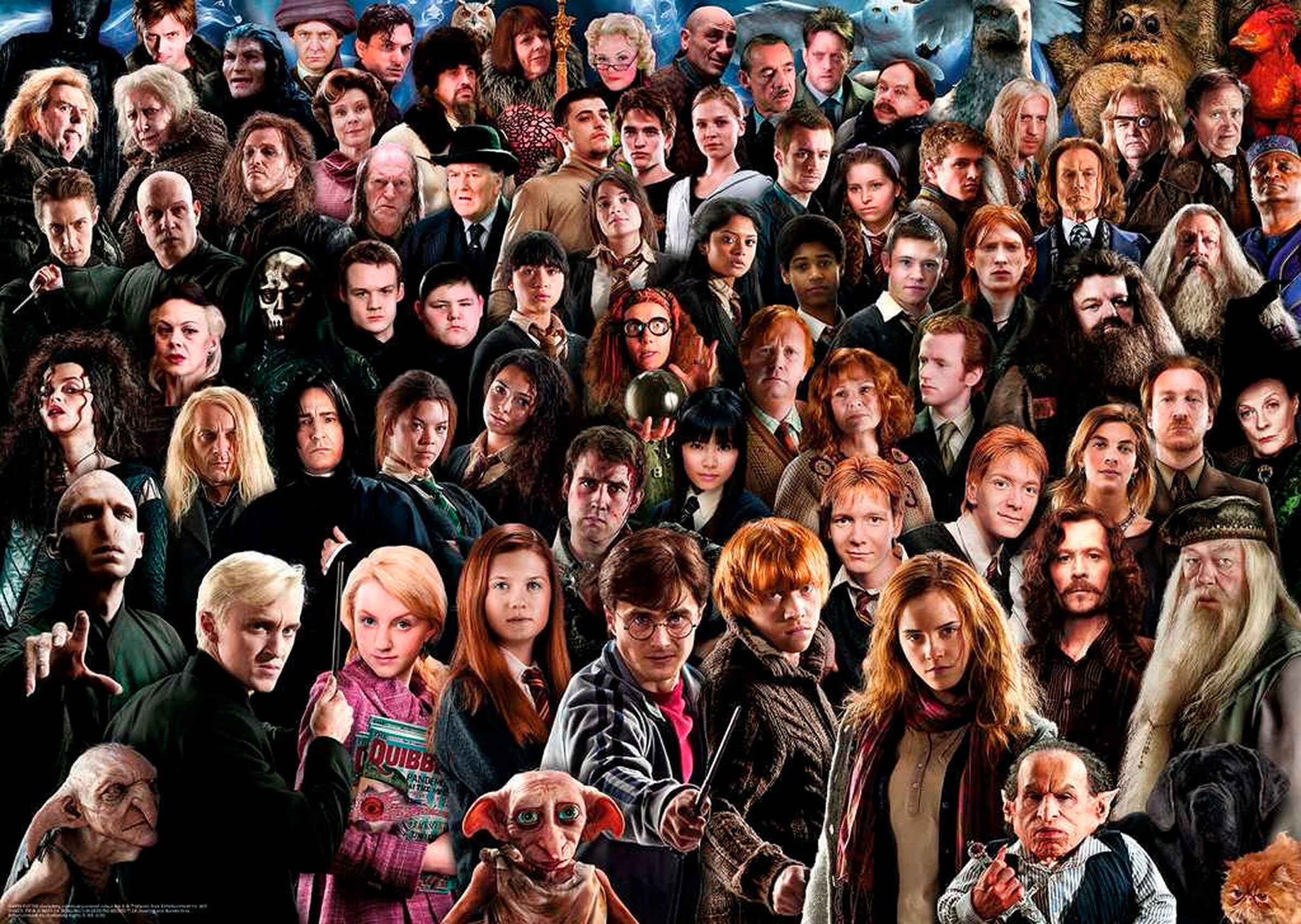 Ravensburger Challenge Harry Potter