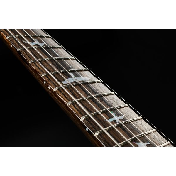 PRS Special 22 SH Private Stock CG