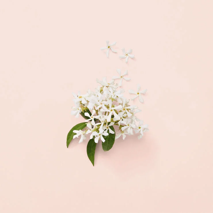 Gucci Bloom Eau De Parfum