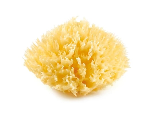THERMOBABY - Eponge de mer honeycomb n°10
