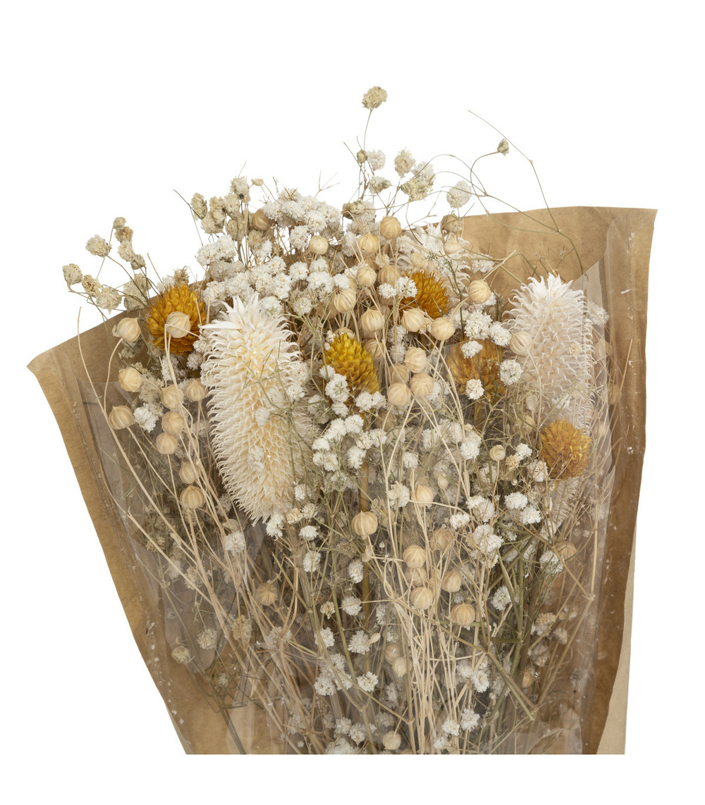 Bouquet de fleurs séchées d. 19 x h. 48 cm