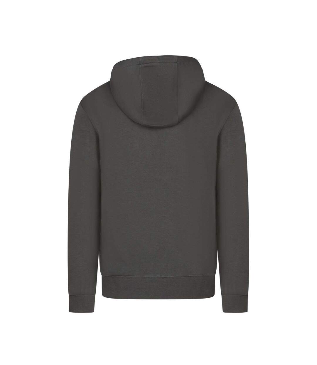 Sweat à capuche Gris Foncé Homme Teddy Smith Siclass