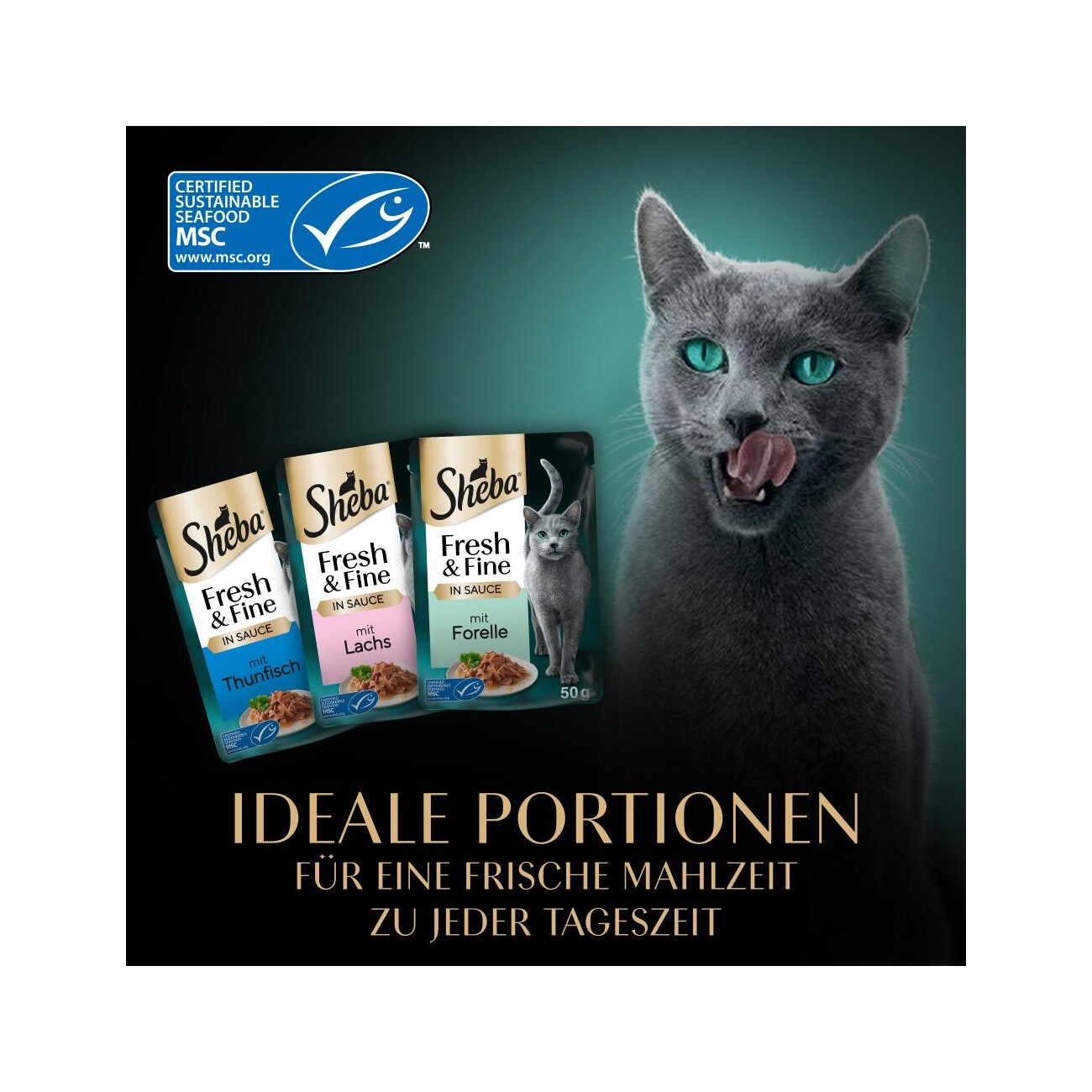 Sheba Fresh & Fine Nassfutter Katze Adult, Multipack, in Sauce 36x50 g Lachs, Thunfisch und Forelle