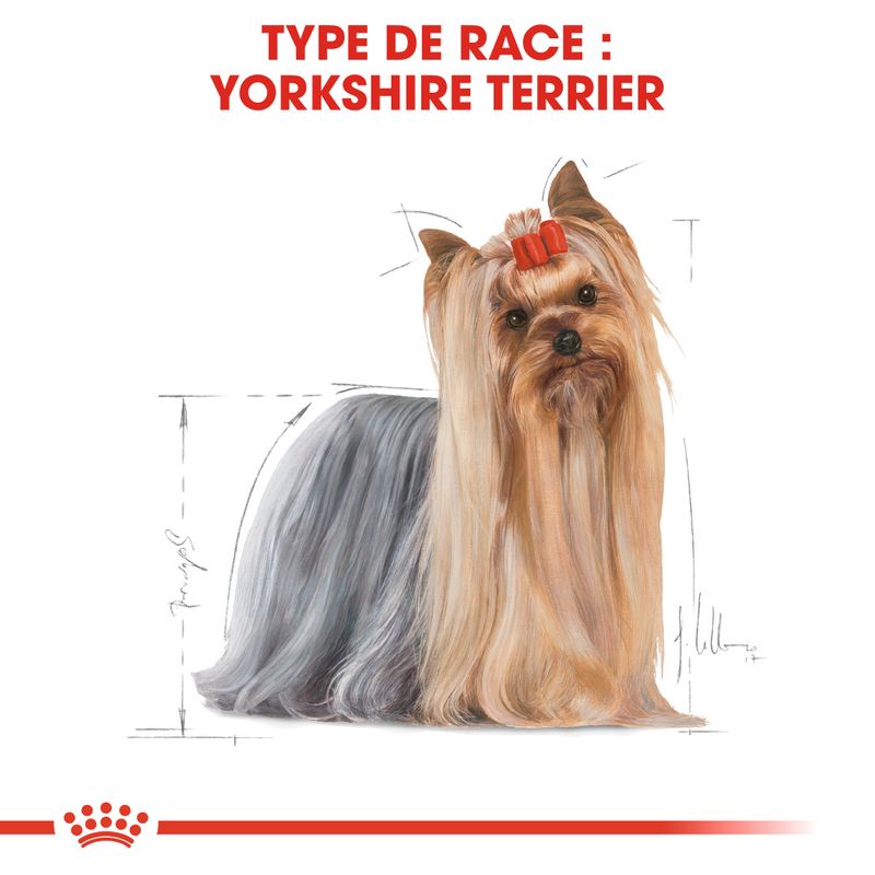 Royal Canin Yorkshire Terrier Adult à prix discount sur bitiba.fr