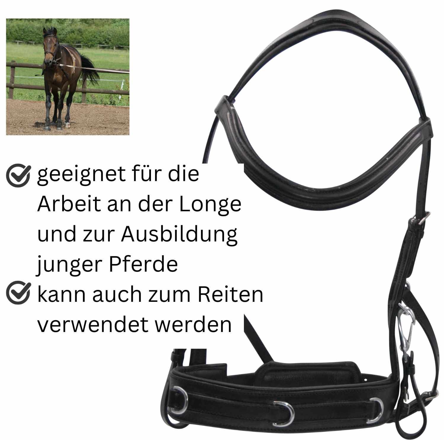 AMKA Reitkappzaum