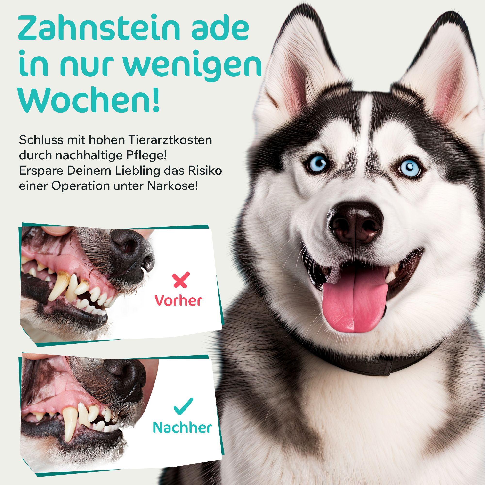 PowerPets -DentaClean - Zahnpflegespray